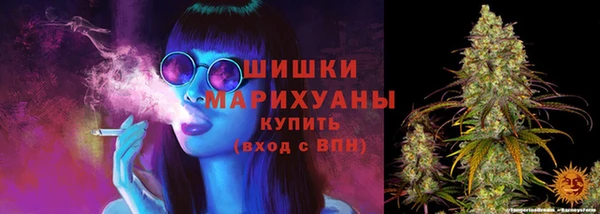прущие грибы Костерёво