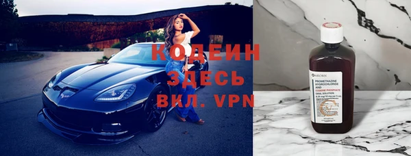 прущие грибы Костерёво