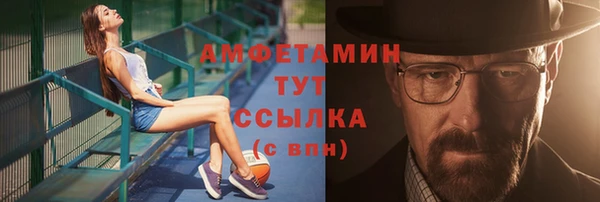 прущие грибы Костерёво