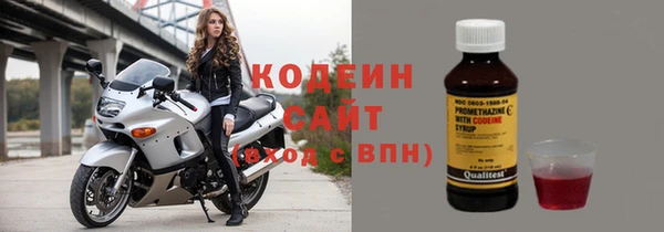 прущие грибы Костерёво