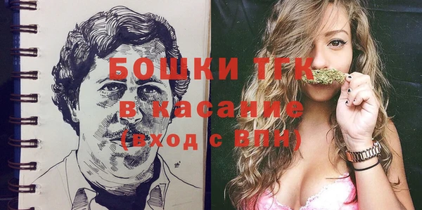 прущие грибы Костерёво