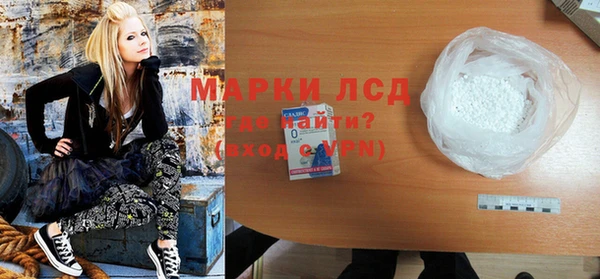 прущие грибы Костерёво