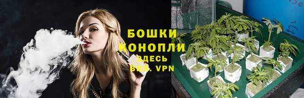 прущие грибы Костерёво