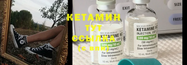 прущие грибы Костерёво